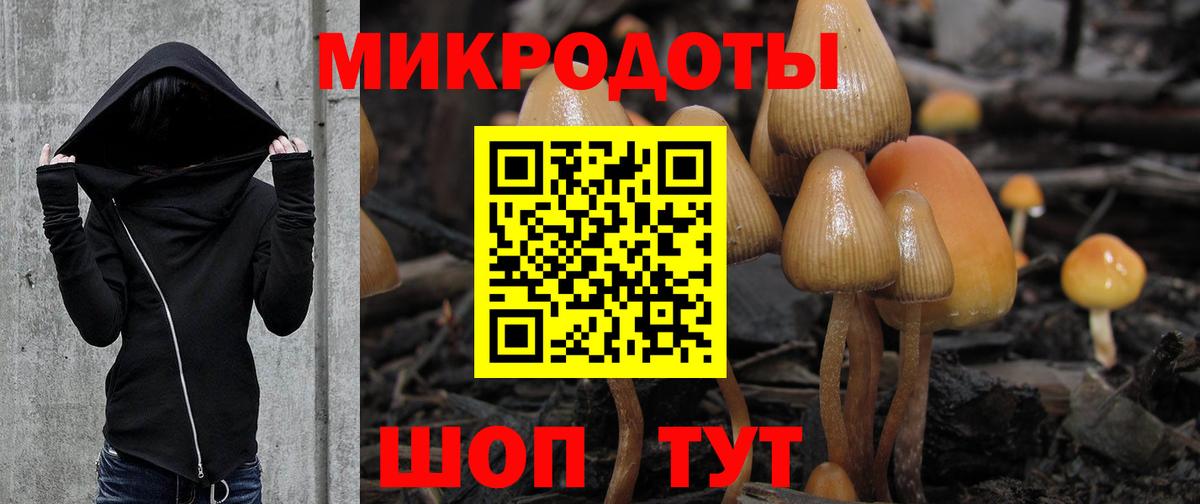Псилоцибиновые грибы MAGIC MUSHROOMS Ноябрьск
